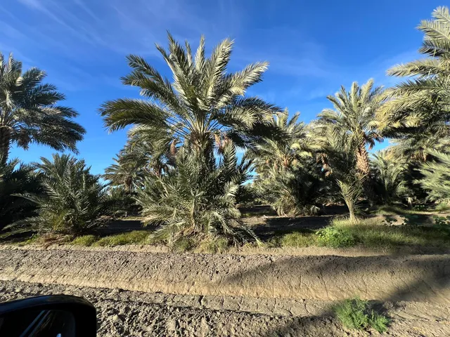 a backyard of a house with outdoor seating