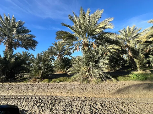 a view of outdoor space with trees