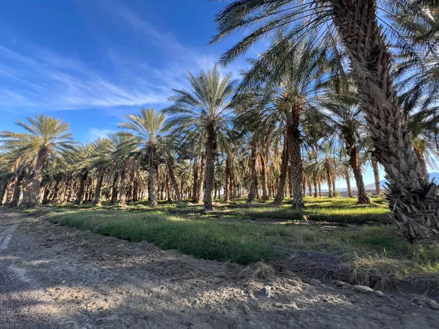 a view of outdoor space with trees