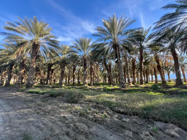 $1,456,800 | 0 Nwc Pierce St & Avenue, Thermal, CA 92274