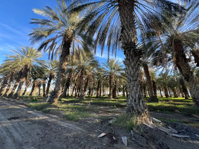 $1,456,800 | 0 Nwc Pierce St & Avenue, Thermal, CA 92274