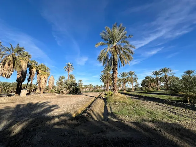 a view of a yard with table and chairs