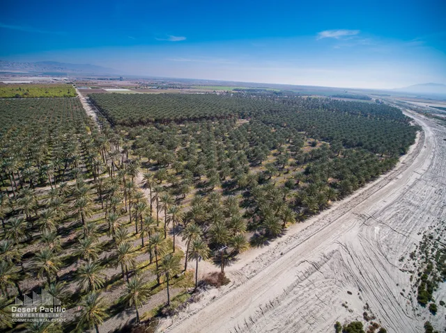 a view of outdoor space with trees