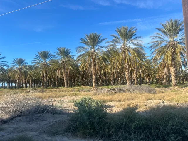 a view of outdoor space with trees