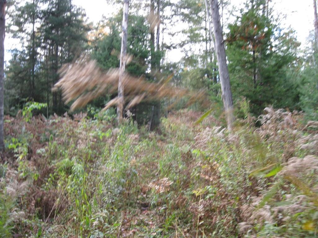 699 Dexter Road Corinna, ME 04928 - Photo 17 of 19 Photo