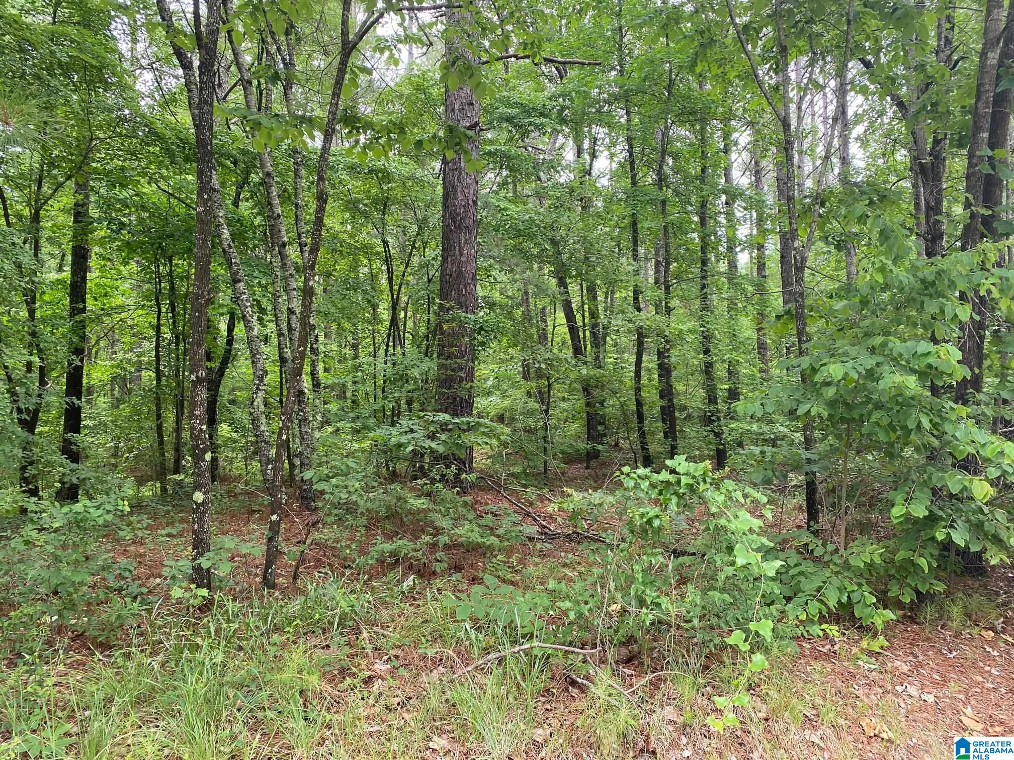 0 Roy Webb Cutoff Road, Unit 2 LOTS Piedmont, AL 36272 - Photo 5 of 10