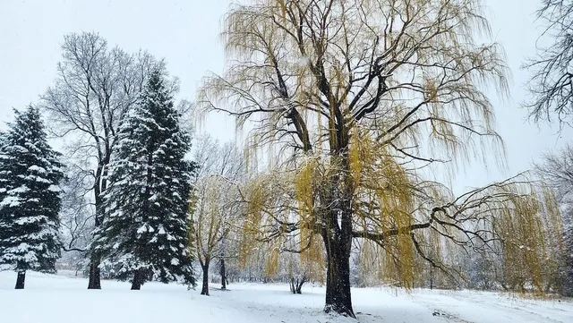 $440,000 | 37437 Highway 7, Ortonville, MN 56278