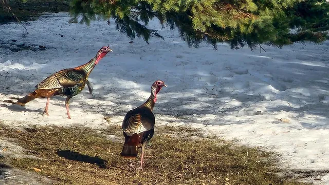 $440,000 | 37437 Highway 7, Ortonville, MN 56278