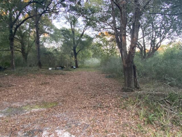 3023 River Road Navarre, FL 32566 - Photo 5 of 5 Gallery Image 5