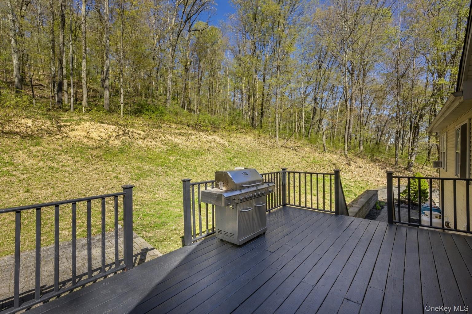50 Horseshoe Road Millbrook, NY 12545 - Photo 24 of 35 AI generated to show backyard cleared