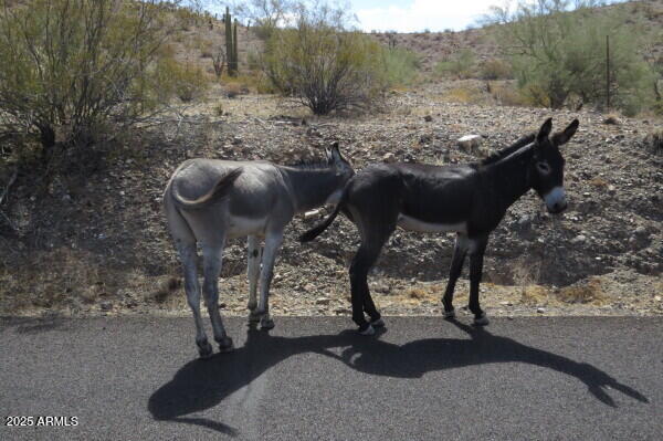1111 West Pipeline Ranch Road Congress, AZ 85332 - Photo 15 of 48 a view of outdoor space and yard