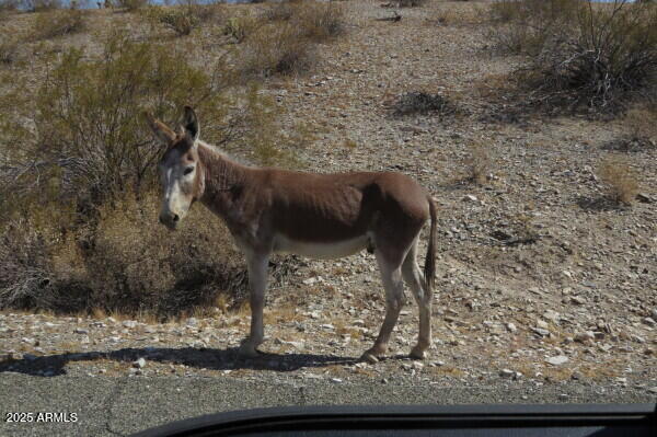 1111 West Pipeline Ranch Road Congress, AZ 85332 - Photo 16 of 48 a view of a yard