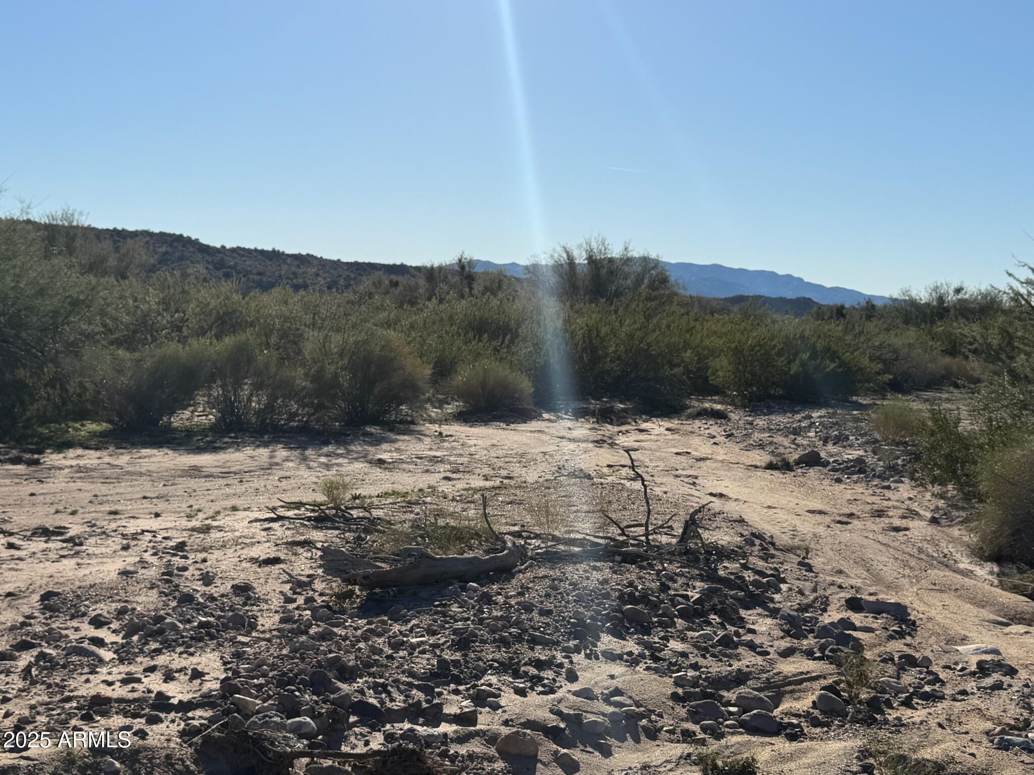 1111 West Pipeline Ranch Road Congress, AZ 85332 - Photo 39 of 48 a view of a dry yard with trees