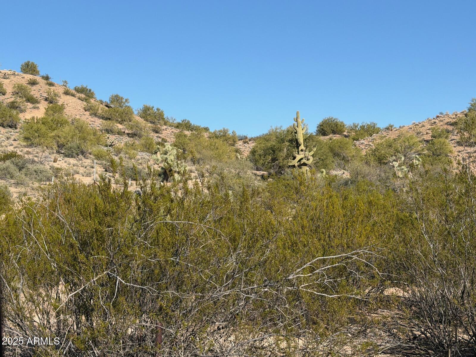 1111 West Pipeline Ranch Road Congress, AZ 85332 - Photo 8 of 48 a view of a yard