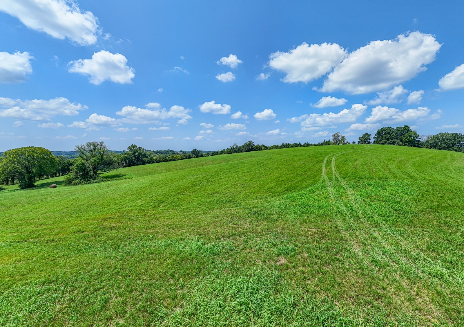 2301 Holloway Road Lebanon, TN 37090 - Photo 3 of 13