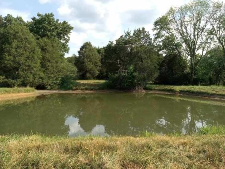 2301 Holloway Road Lebanon, TN 37090 - Photo 5 of 13