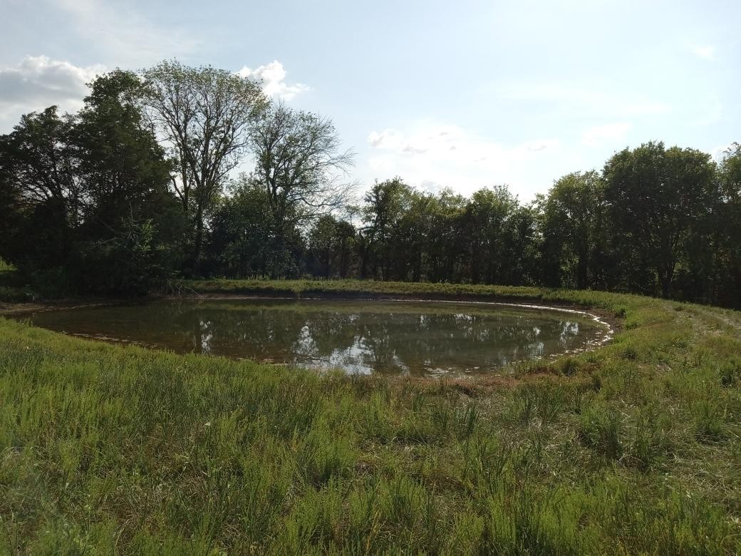 2301 Holloway Road Lebanon, TN 37090 - Photo 6 of 13