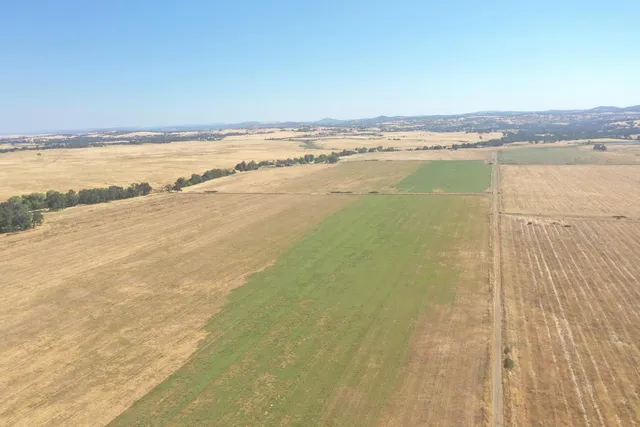 $13,000,000 | 4873 Gladding Road, Lincoln, CA 95648