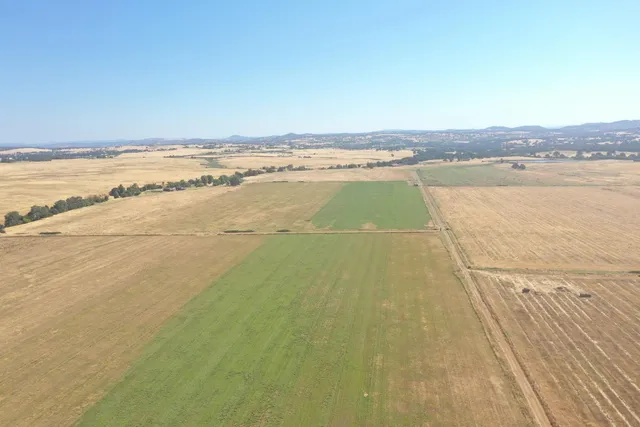 $13,000,000 | 4873 Gladding Road, Lincoln, CA 95648