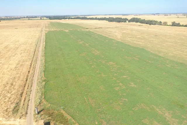 $13,000,000 | 4873 Gladding Road, Lincoln, CA 95648