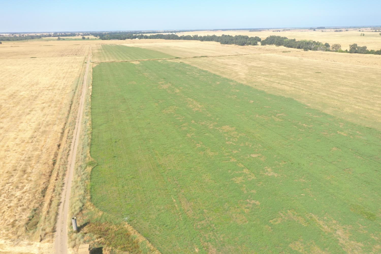 4873 Gladding Road Lincoln, CA 95648 - Photo 19 of 38