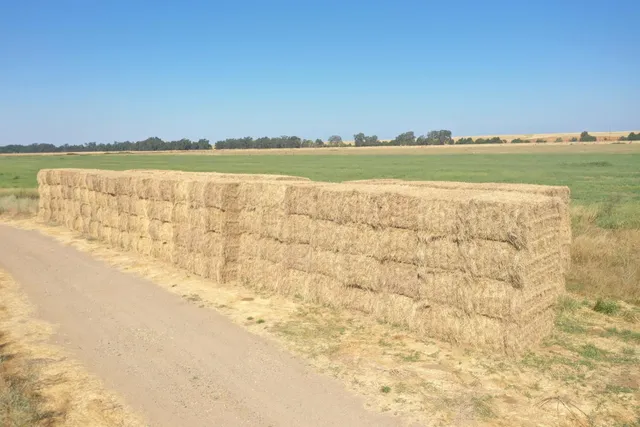 $13,000,000 | 4873 Gladding Road, Lincoln, CA 95648