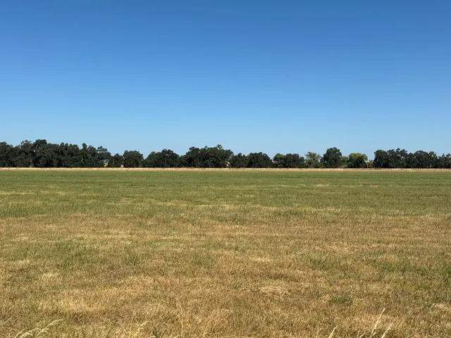 $13,000,000 | 4873 Gladding Road, Lincoln, CA 95648