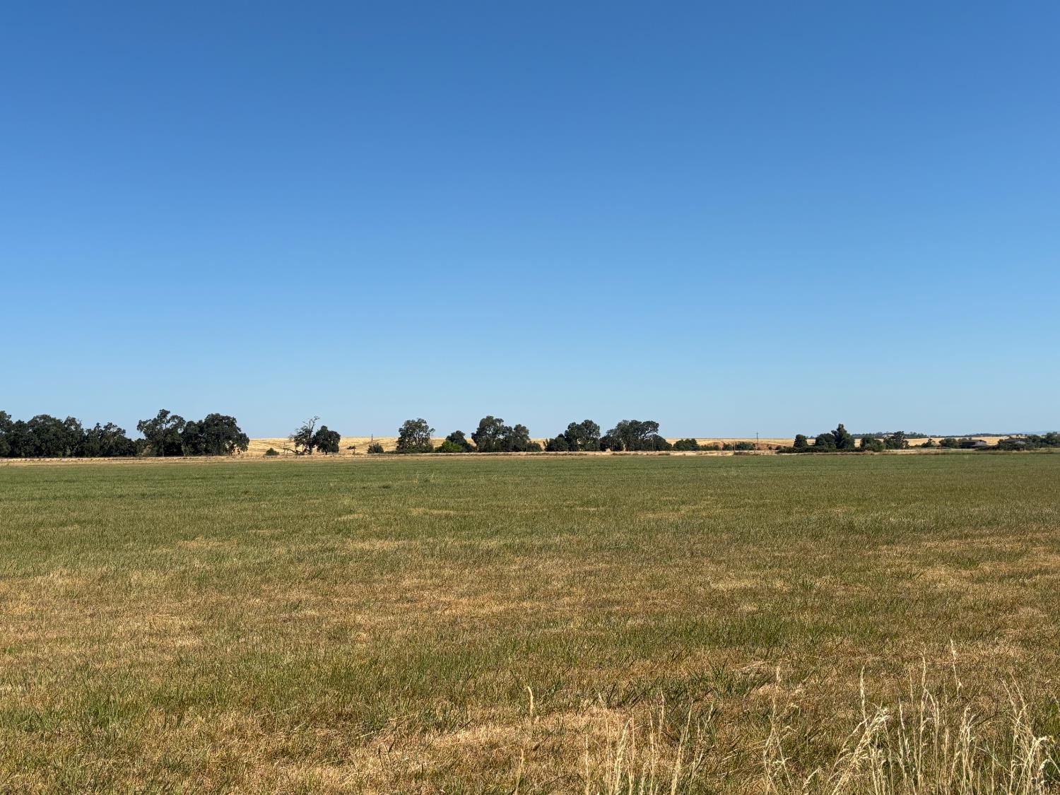 4873 Gladding Road Lincoln, CA 95648 - Photo 35 of 38