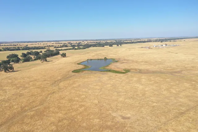 $13,000,000 | 4873 Gladding Road, Lincoln, CA 95648