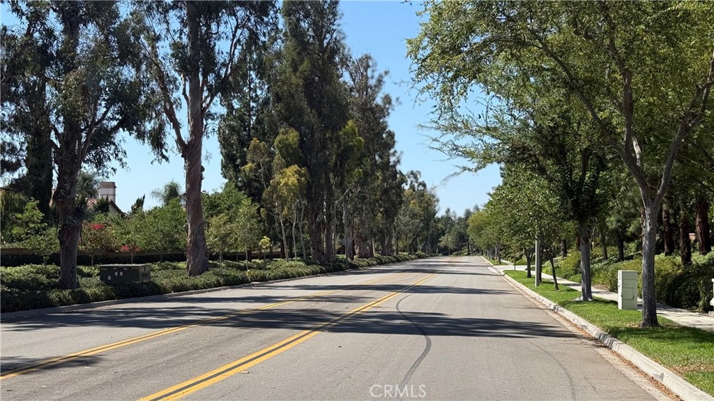 65 Ashcrest Irvine, CA 92620 - Photo 30 of 43 Love the mature trees and 100 foot pines; notice you can barely see any homes when you drive thru Northwood pointe; a mature community with NO mello Roos and a mature HOA that does a fantastic job!