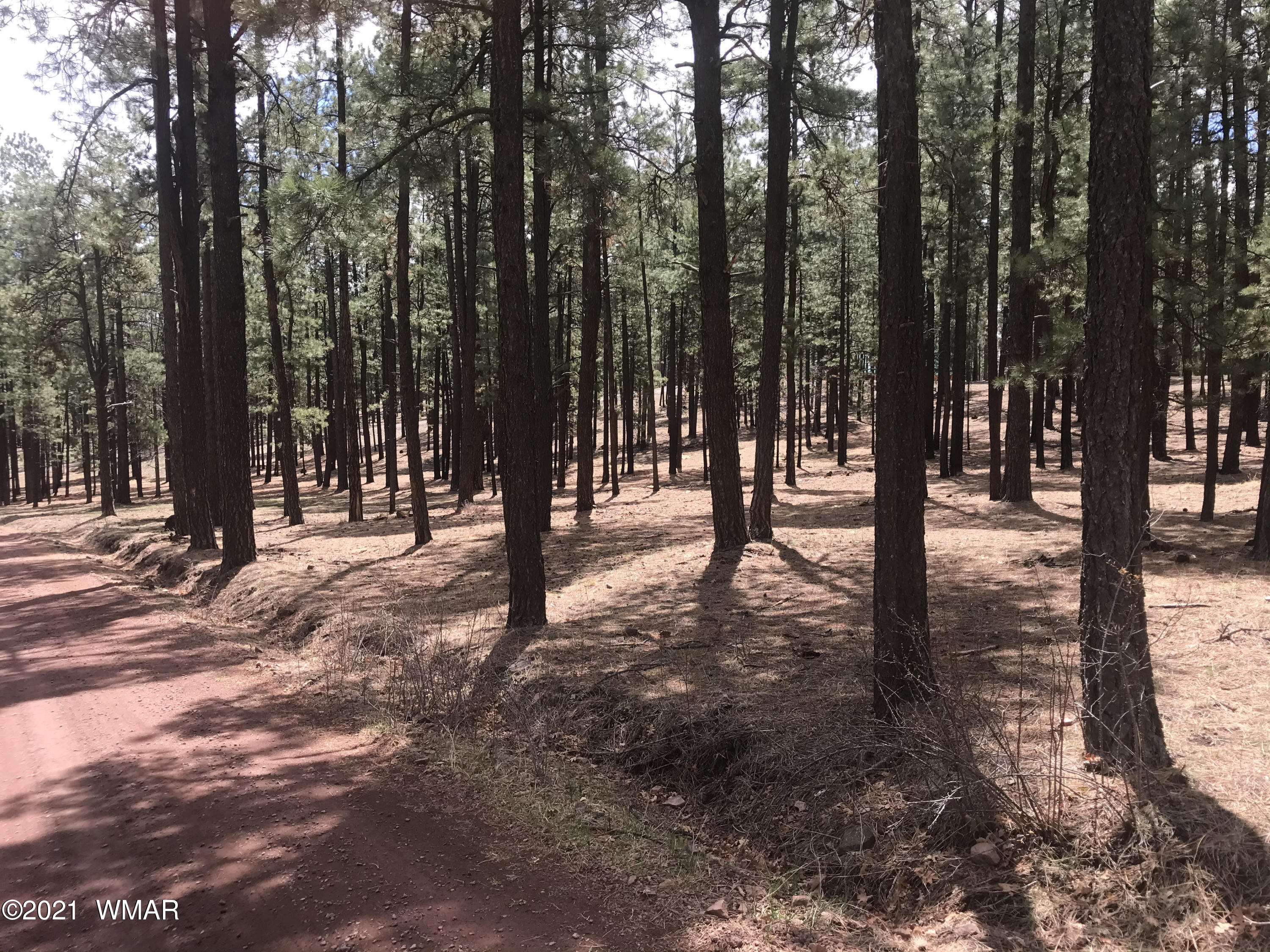 N2325 County Road Alpine, AZ 85920 - Photo 2 of 5
