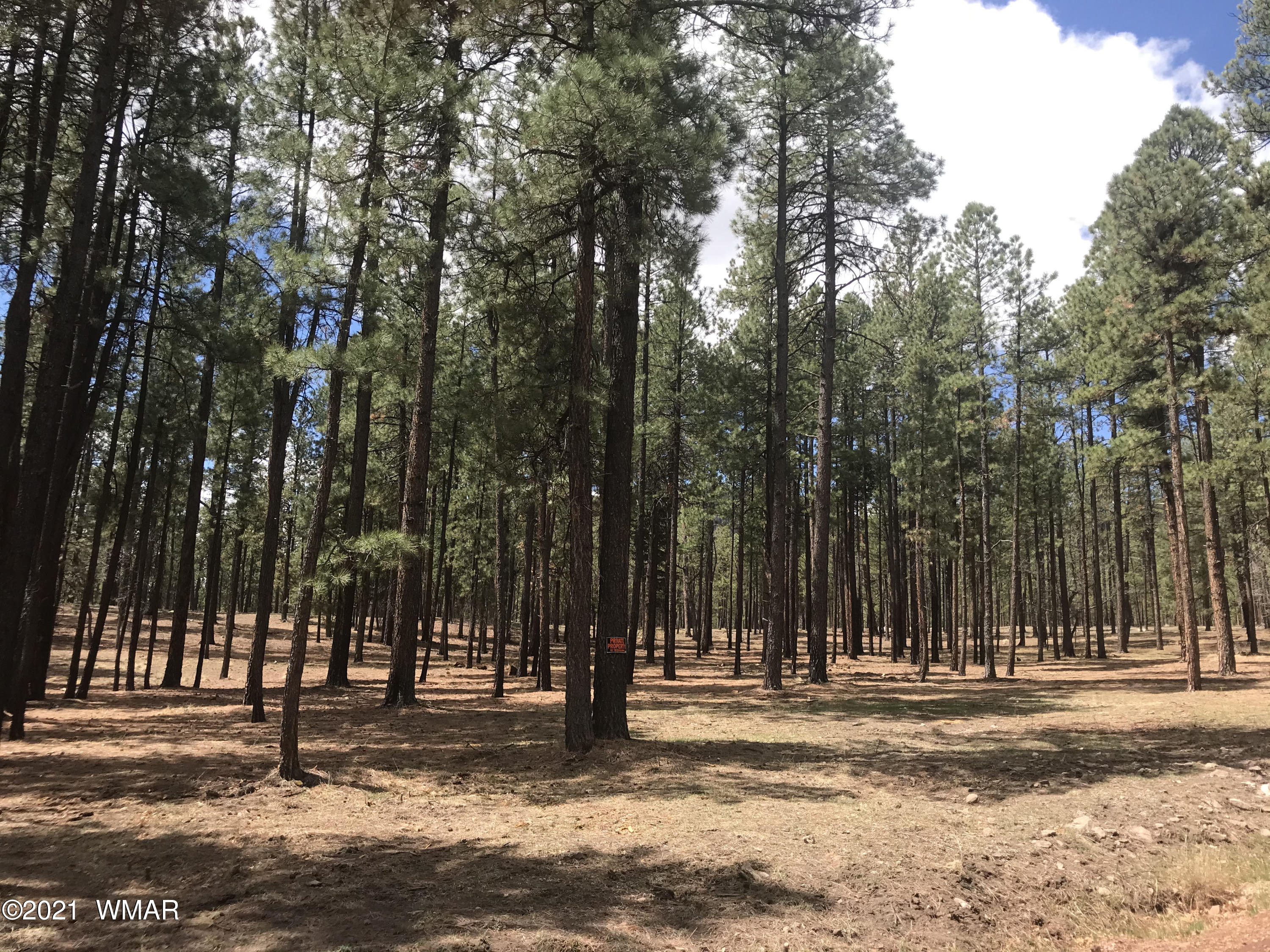 N2325 County Road Alpine, AZ 85920 - Photo 3 of 5