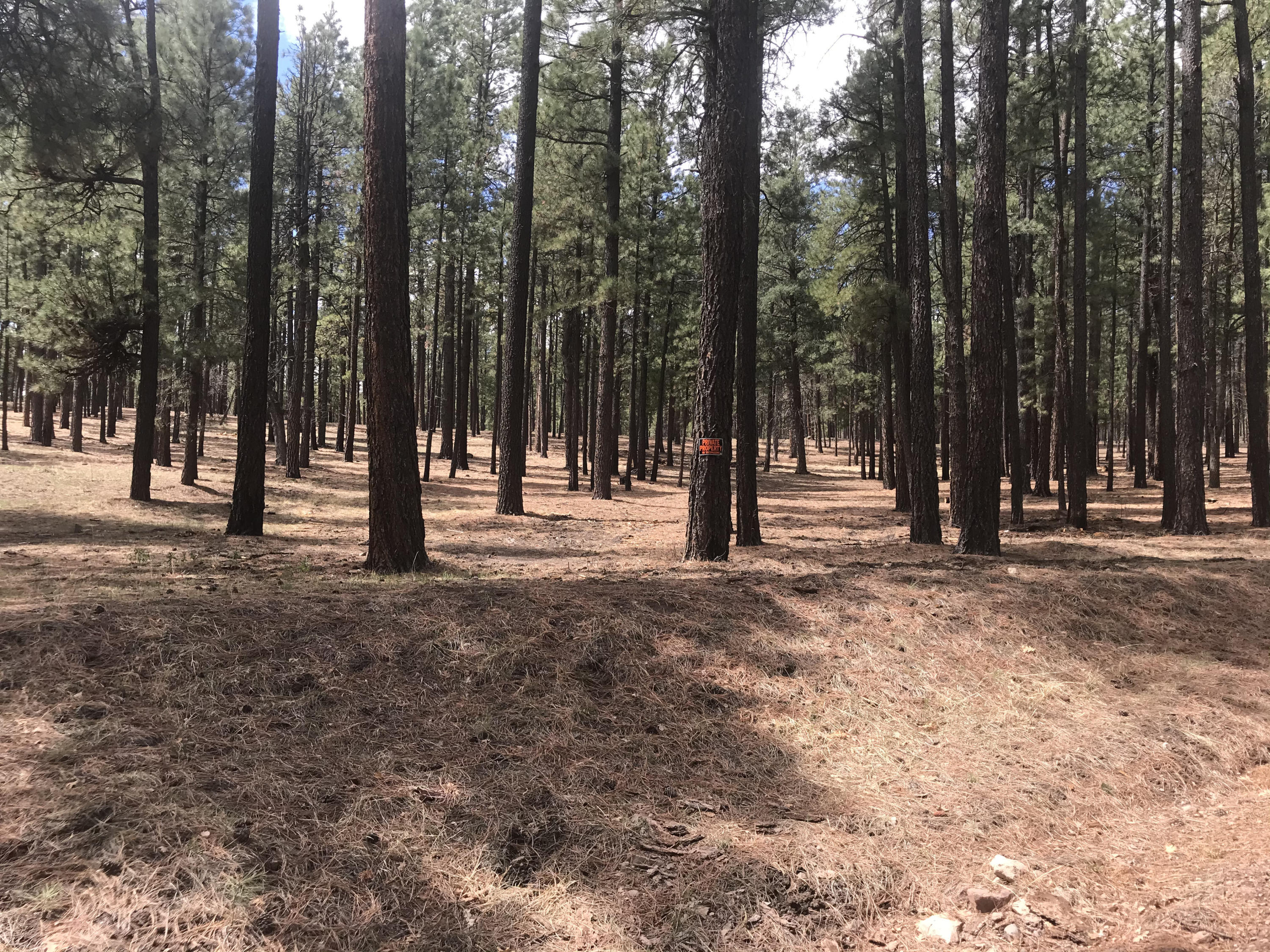 N2325 County Road Alpine, AZ 85920 - Photo 4 of 5