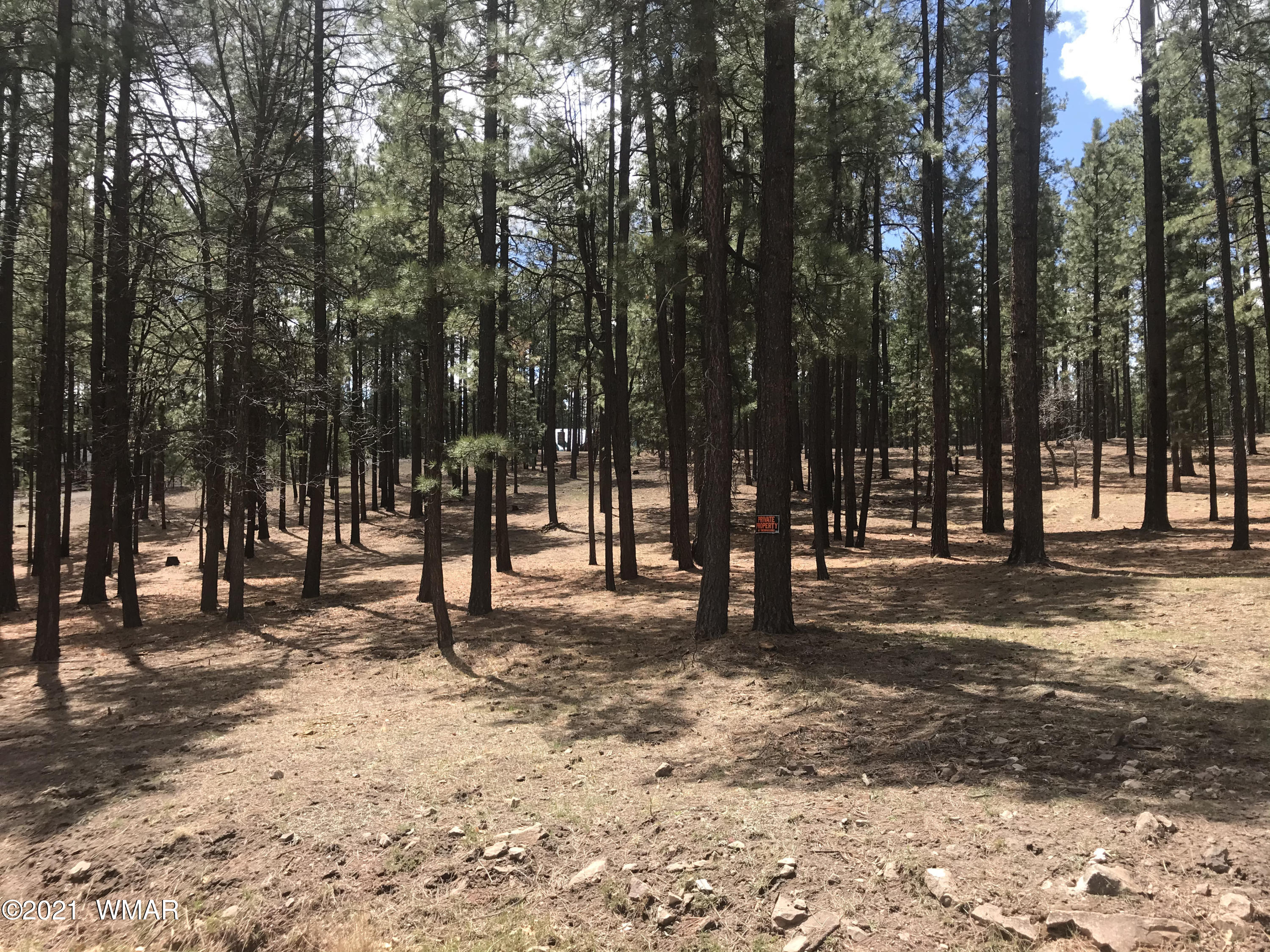N2325 County Road Alpine, AZ 85920 - Photo 5 of 5