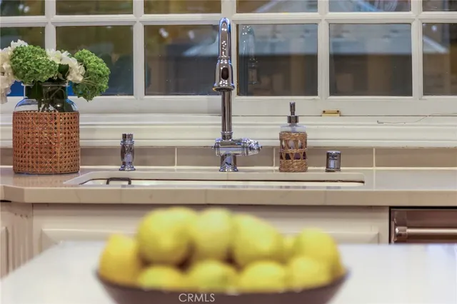 a view of a sink with a potted plant