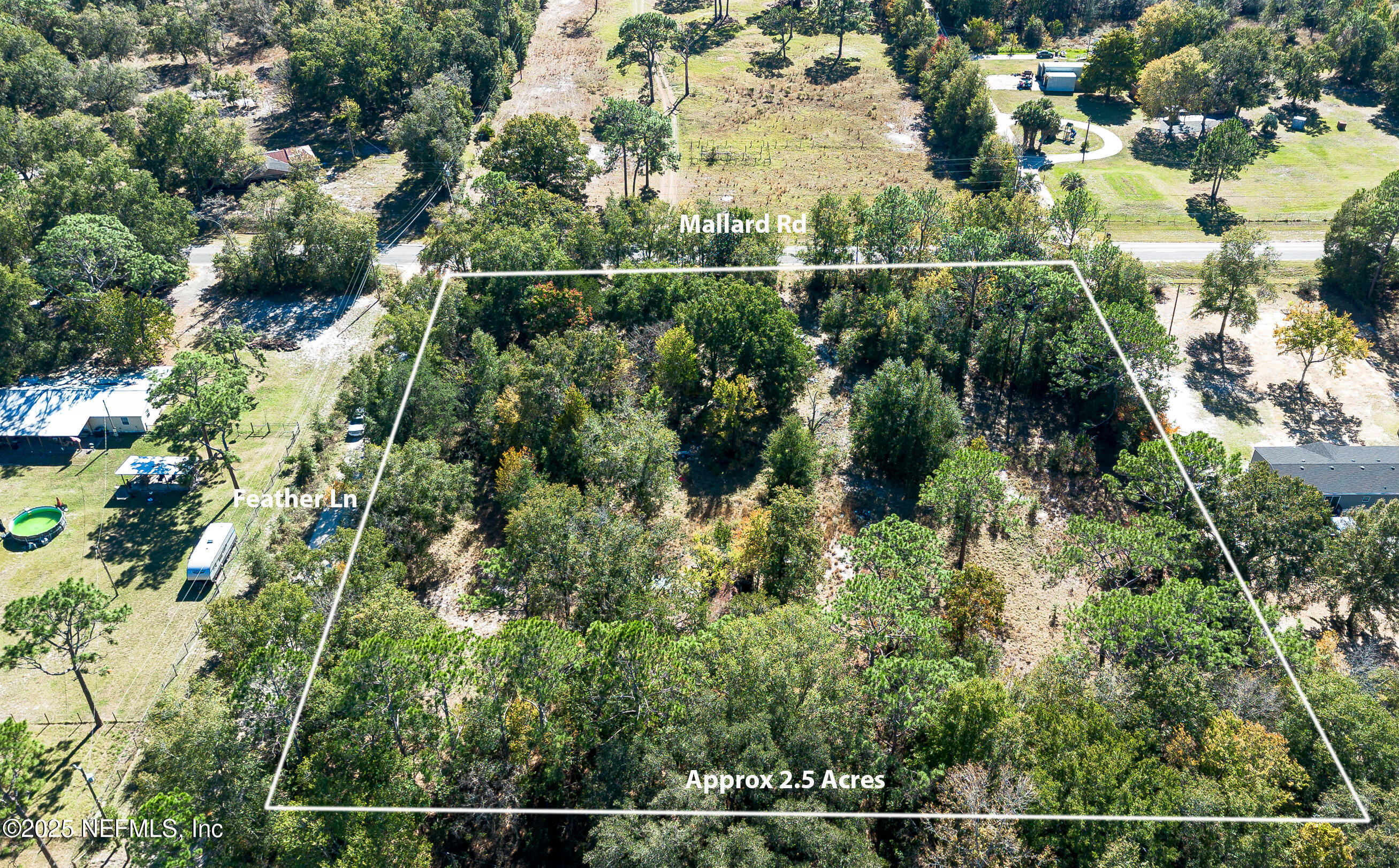 0 Mallard Road Middleburg, FL 32068 - Photo 17 of 21 Ext Lot Rear