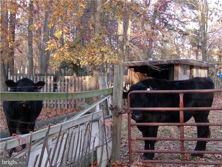 934 New Brooklyn Road Berlin, NJ 08081 - Photo 24 of 25
