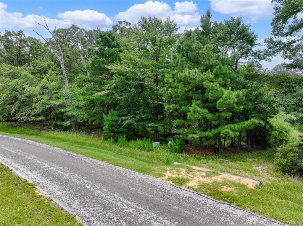 8301 Trophy Pointe Larue, TX 75770 - Photo 11 of 19 a view of a backyard of a house
