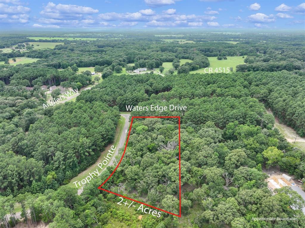 8301 Trophy Pointe Larue, TX 75770 - Photo 3 of 19 an aerial view of residential houses with outdoor space and trees