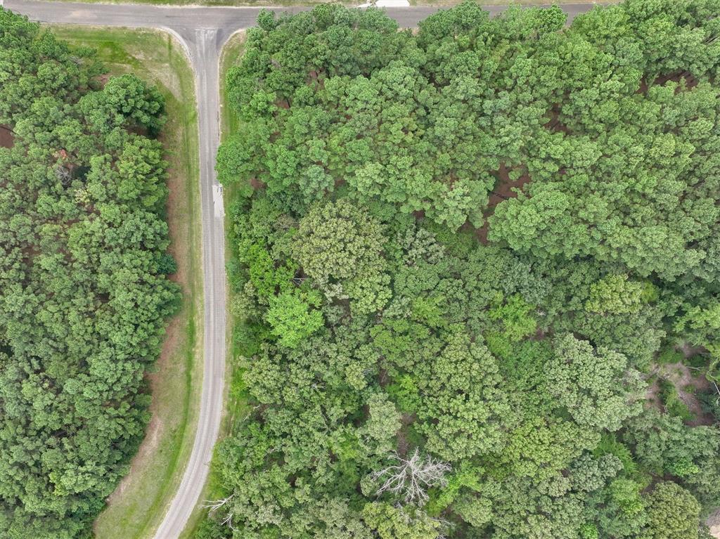 8301 Trophy Pointe Larue, TX 75770 - Photo 4 of 19 a view of a garden with plants