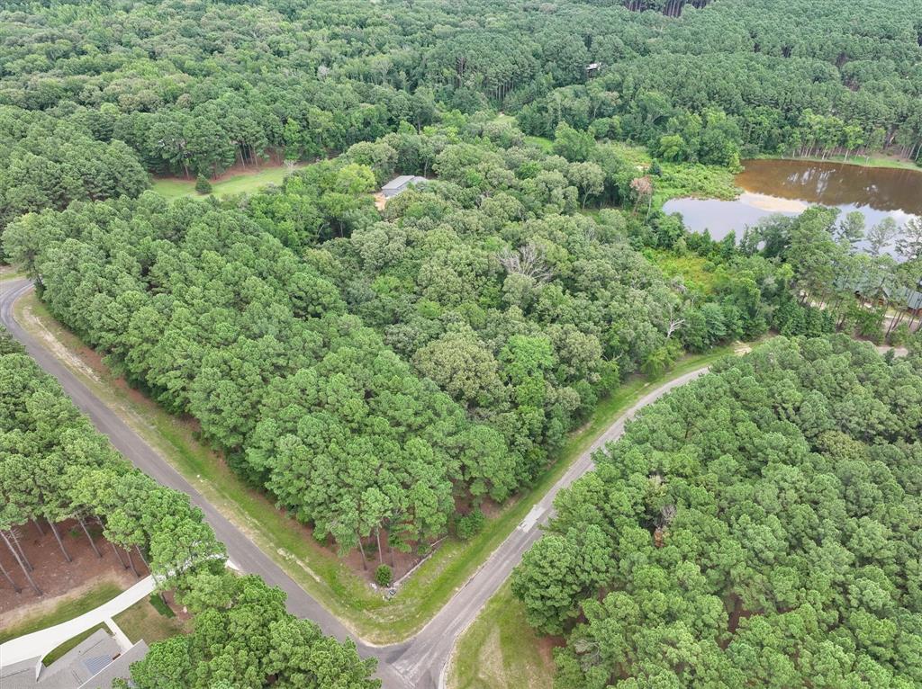 8301 Trophy Pointe Larue, TX 75770 - Photo 5 of 19 a view of a garden with a tree