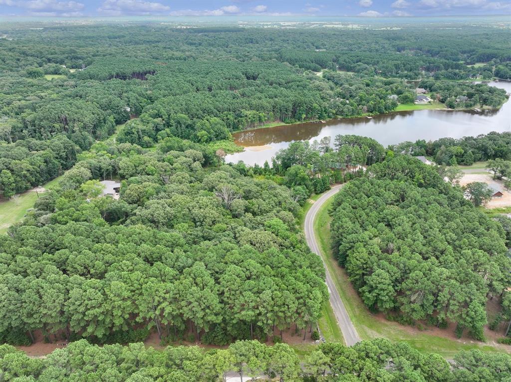 8301 Trophy Pointe Larue, TX 75770 - Photo 6 of 19 an aerial view of house with yard and outdoor seating
