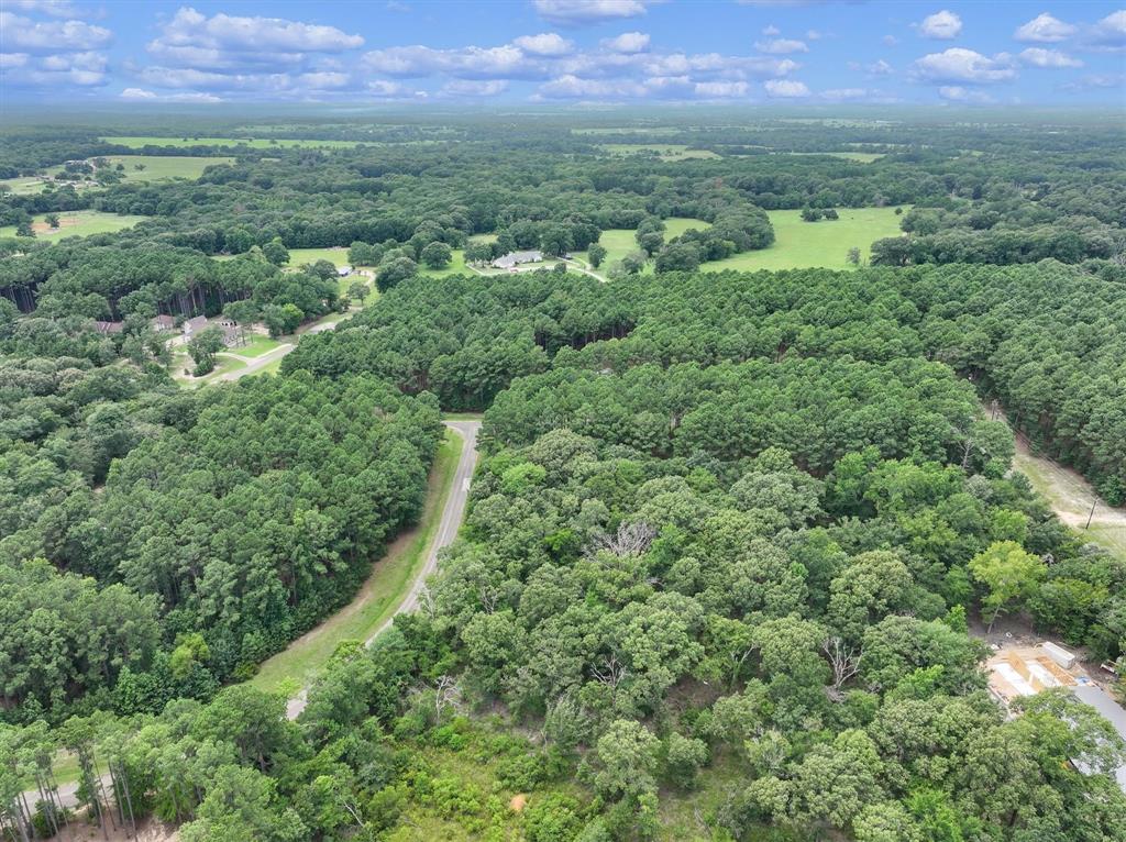 8301 Trophy Pointe Larue, TX 75770 - Photo 9 of 19 an aerial view of residential houses with outdoor space and trees