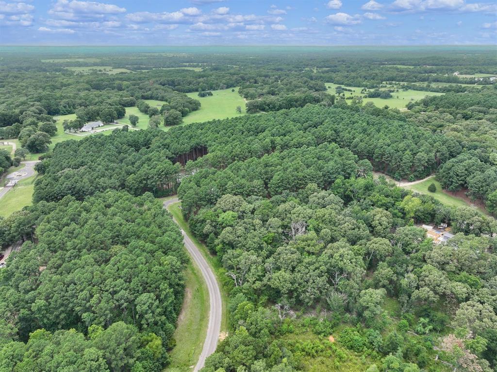 8301 Trophy Pointe Larue, TX 75770 - Photo 10 of 19 an aerial view of residential houses with outdoor space and trees