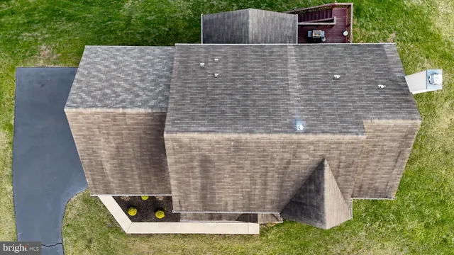 a view of a lush green forest