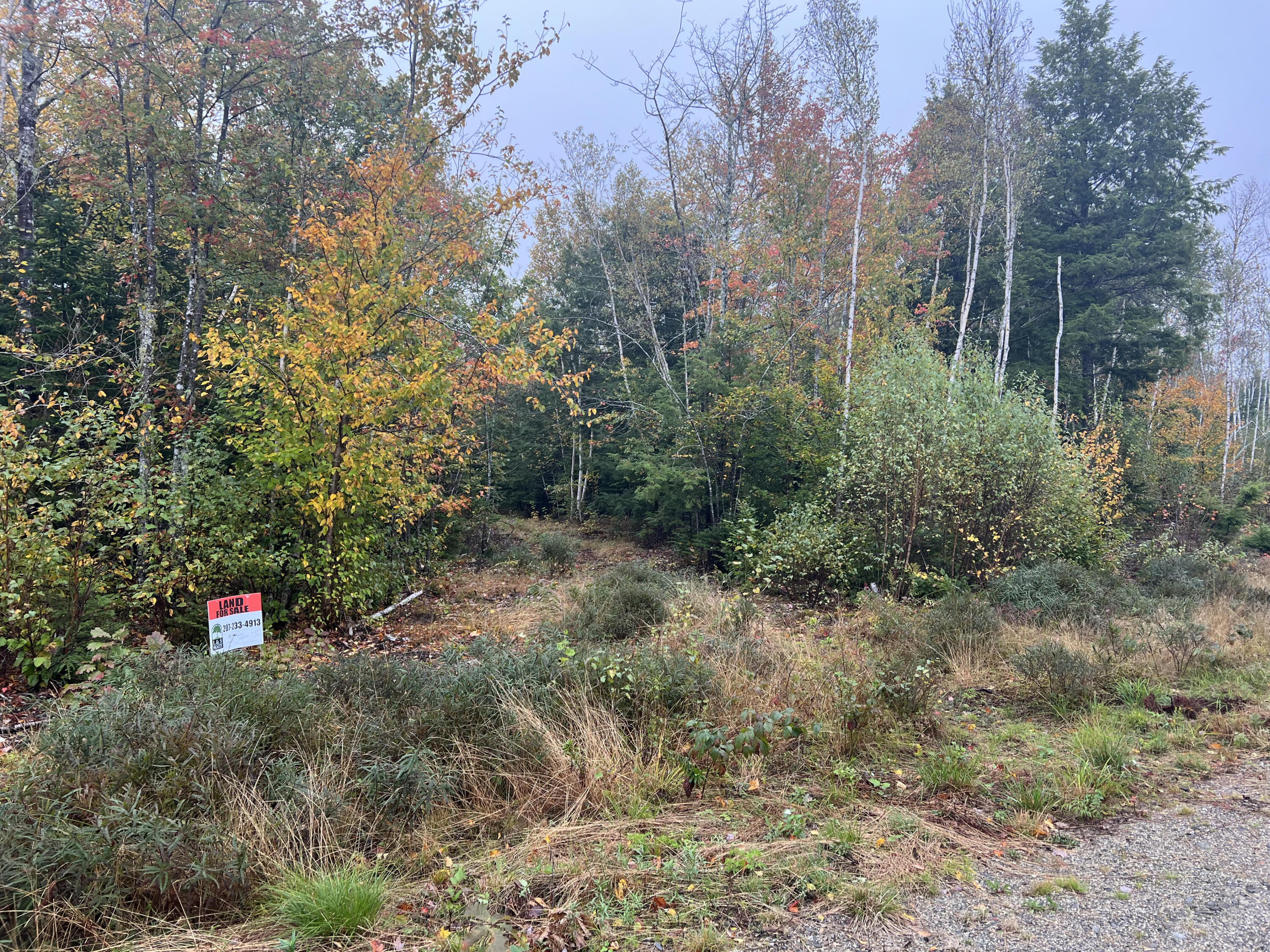 Lot 113 Bass Overlook Road Ellsworth, ME 04605 - Photo 3 of 10 unnamed2