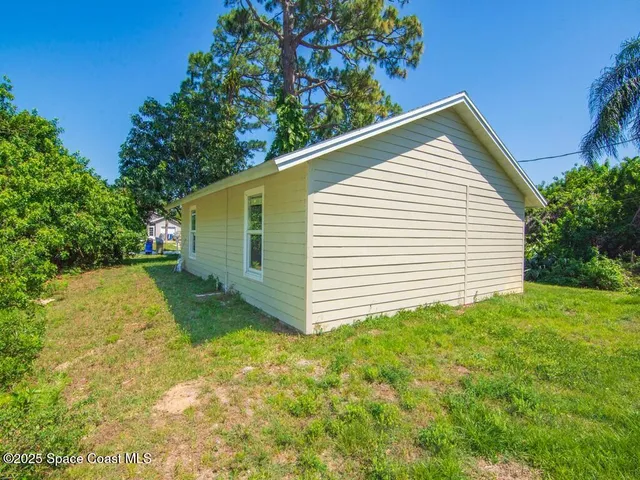 a view of a backyard with plants and large tree