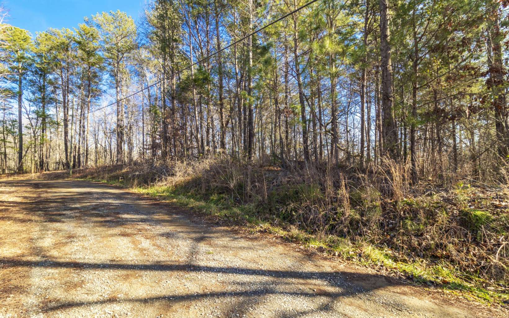 4.07 A Rambling Road Fairmount, GA 30139 - Photo 1 of 4 Main View