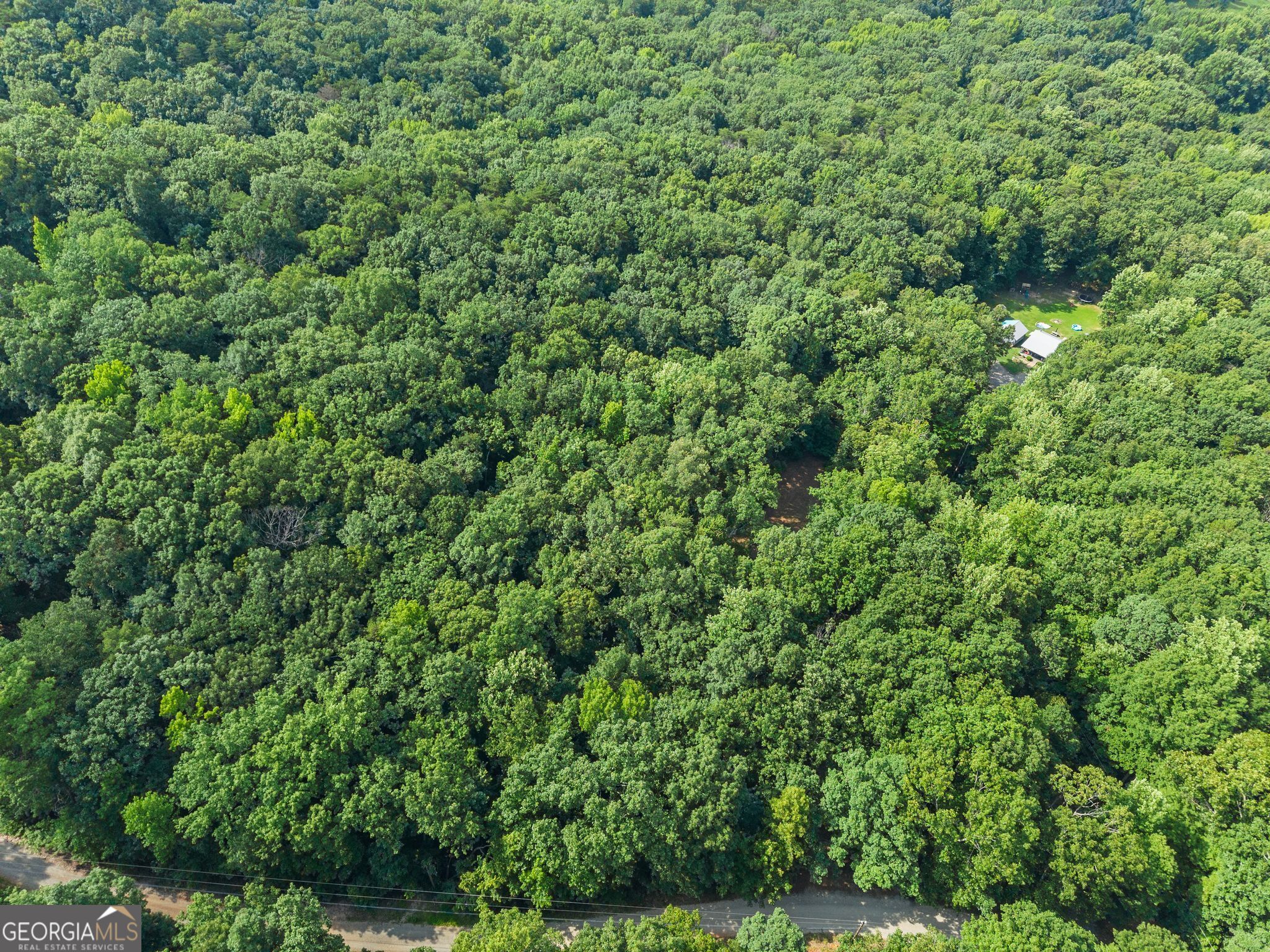0 Wauka Ridge Road Clermont, GA 30527 - Photo 22 of 32