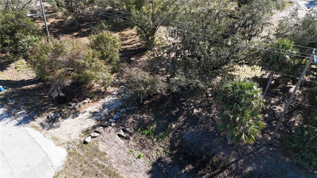 4224 Duncan Road Punta Gorda, FL 33982 - Photo 5 of 10 a view of tree